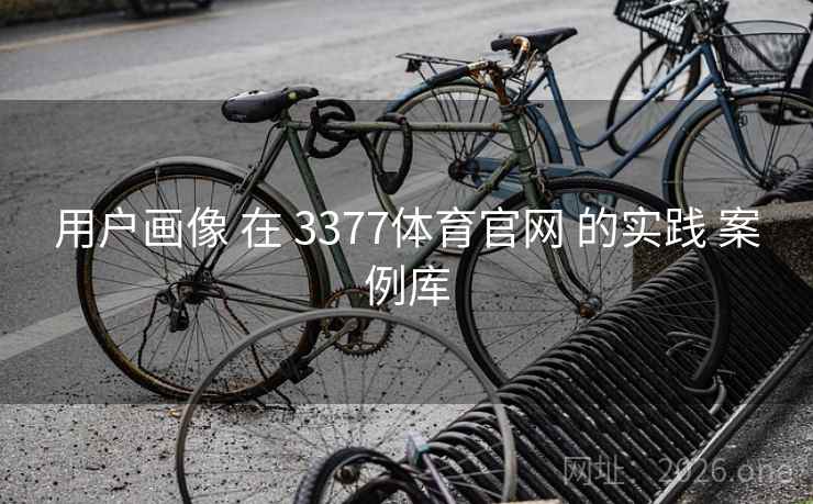 用户画像 在 3377体育官网 的实践 案例库