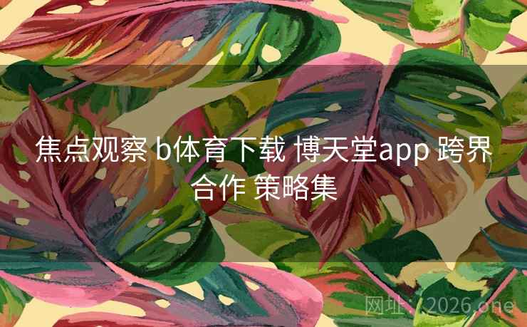 焦点观察 b体育下载 博天堂app 跨界合作 策略集