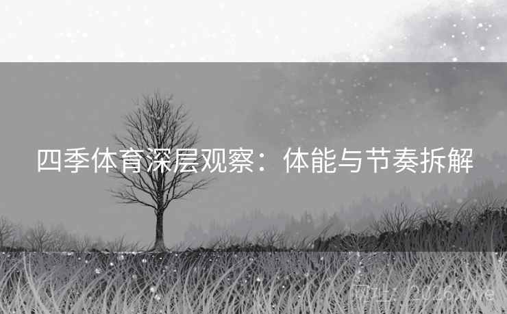 四季体育深层观察：体能与节奏拆解