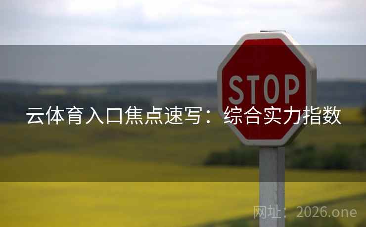 云体育入口焦点速写：综合实力指数