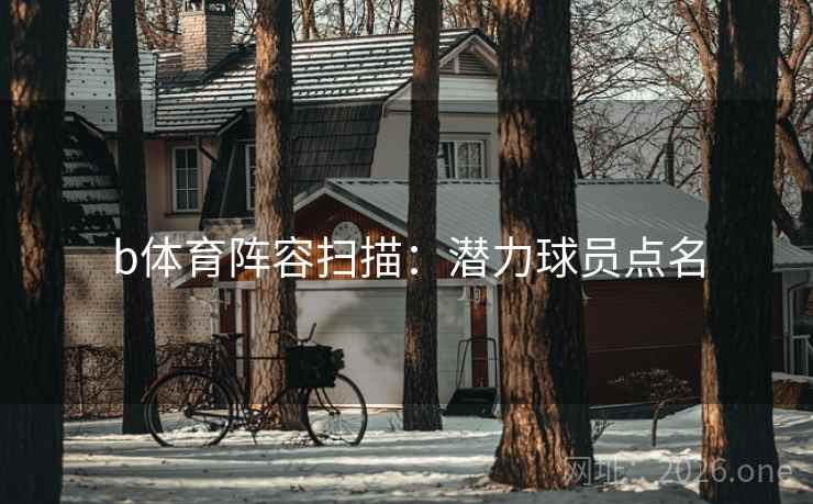 b体育阵容扫描：潜力球员点名
