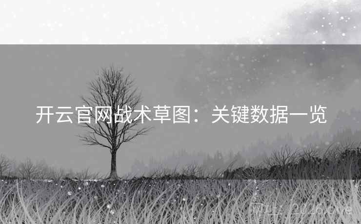 开云官网战术草图：关键数据一览
