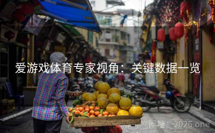爱游戏体育专家视角：关键数据一览