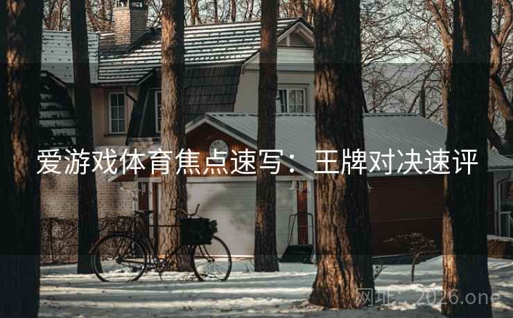 爱游戏体育焦点速写：王牌对决速评