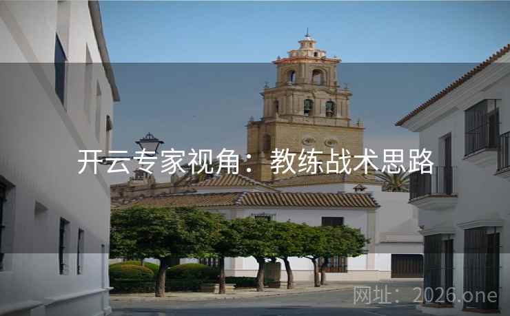 开云专家视角：教练战术思路