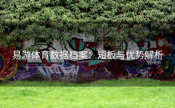 易游体育数据档案：短板与优势解析