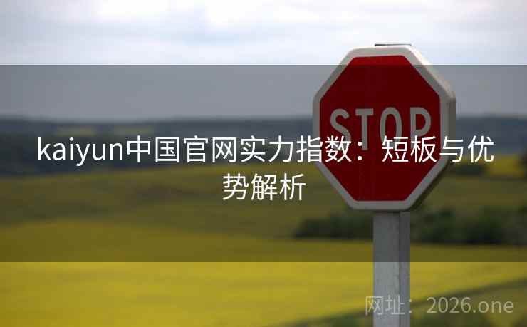 kaiyun中国官网实力指数：短板与优势解析