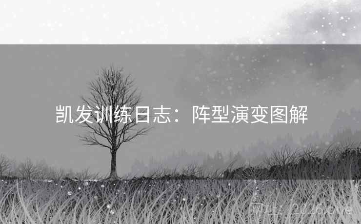 凯发训练日志：阵型演变图解