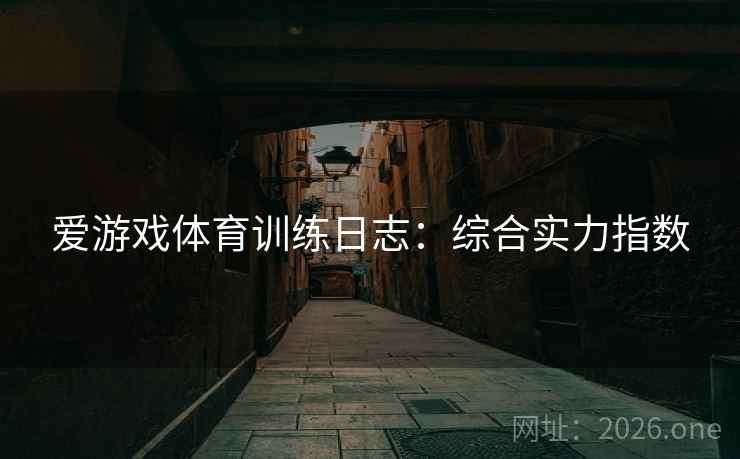 爱游戏体育训练日志：综合实力指数