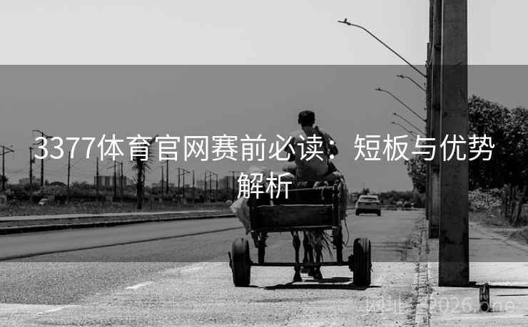 3377体育官网赛前必读：短板与优势解析