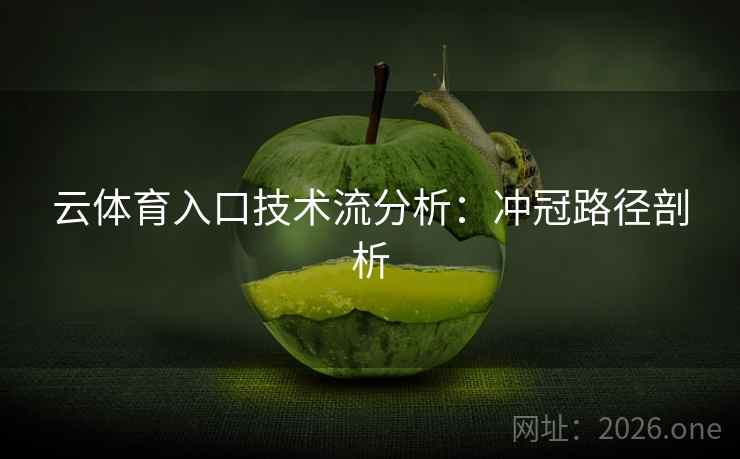云体育入口技术流分析：冲冠路径剖析