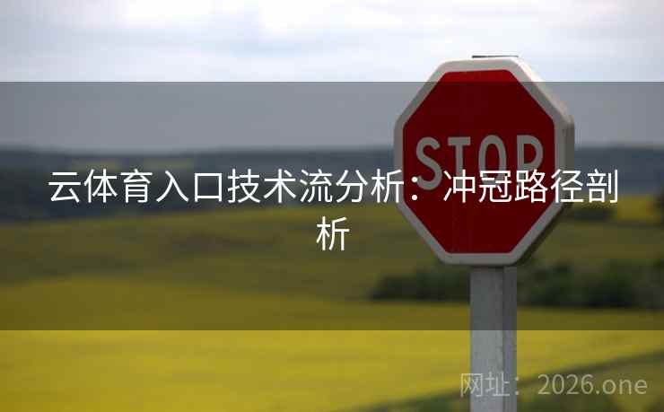 云体育入口技术流分析：冲冠路径剖析