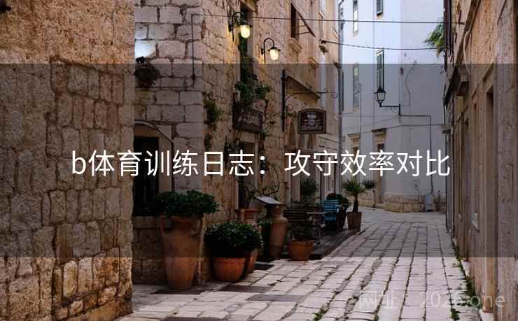 b体育训练日志：攻守效率对比