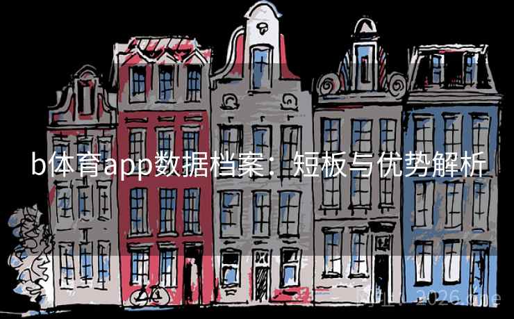 b体育app数据档案：短板与优势解析