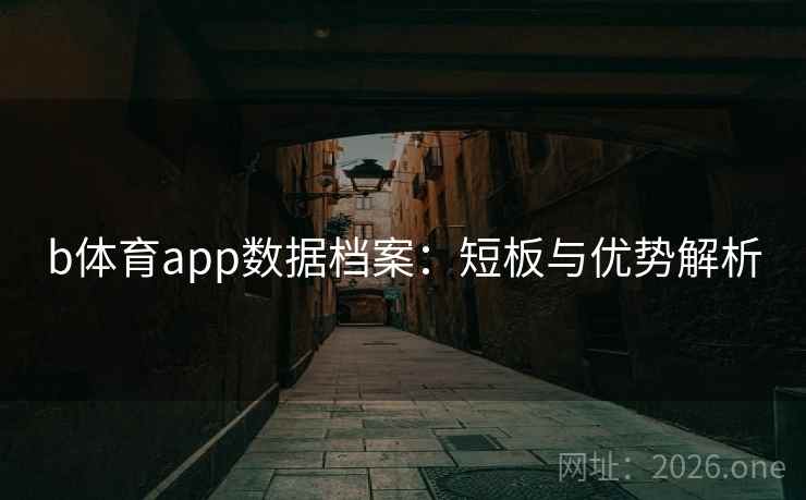 b体育app数据档案：短板与优势解析