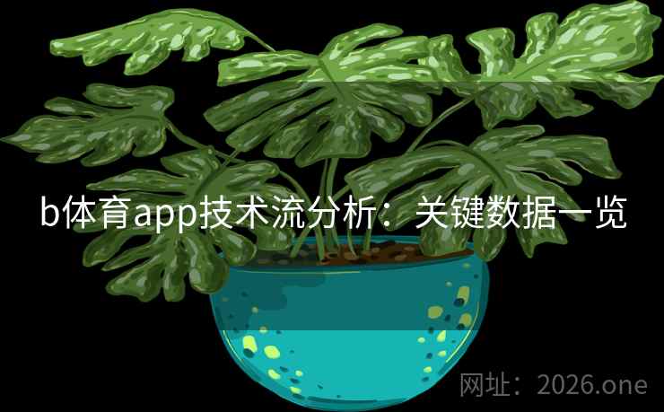 b体育app技术流分析：关键数据一览