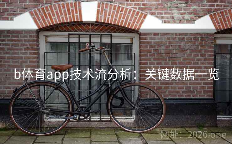 b体育app技术流分析：关键数据一览