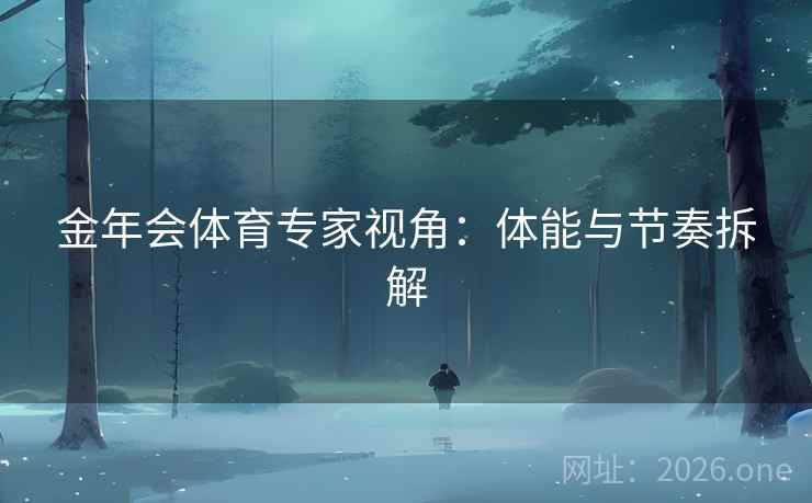 金年会体育专家视角：体能与节奏拆解