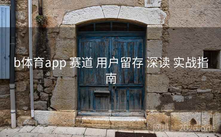 b体育app 赛道 用户留存 深读 实战指南