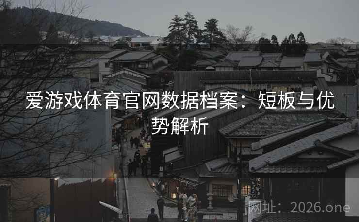 爱游戏体育官网数据档案：短板与优势解析