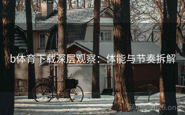 b体育下载深层观察：体能与节奏拆解