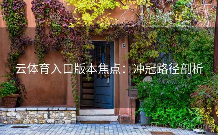 云体育入口版本焦点：冲冠路径剖析